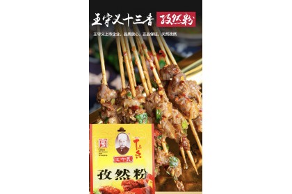 Wsy Cumin Powder 王守义十三香孜然粉 35G（VIP会员价：RM4.40）