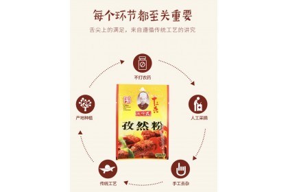 Wsy Cumin Powder 王守义十三香孜然粉 35G（VIP会员价：RM4.40）