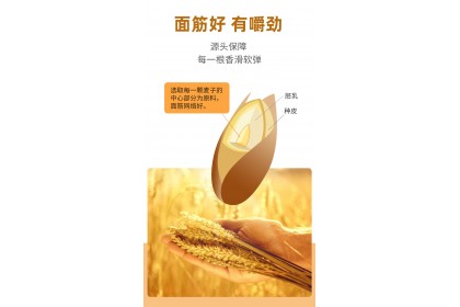 Kemen Mushroom Noodles 陈克明香菇风味挂面 500GM