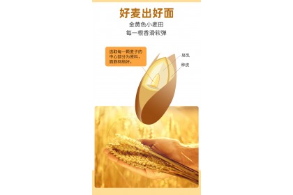 Kemen High Gluten Noodles 陈克明高筋银丝挂面 500GM
