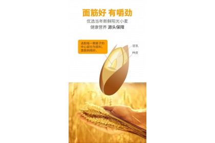 Kemen High Gluten Broad Noodles 陈克明高筋玉带挂面 500GM