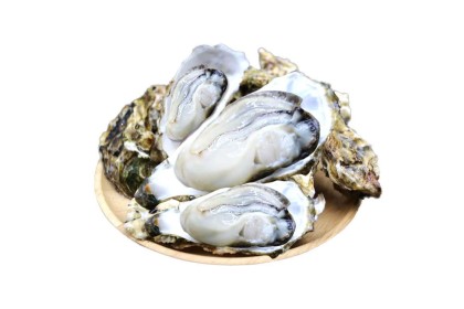 Frozen Oysters 生蚝 4'S