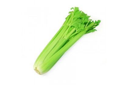 Aus Celery 澳洲西芹 500GM