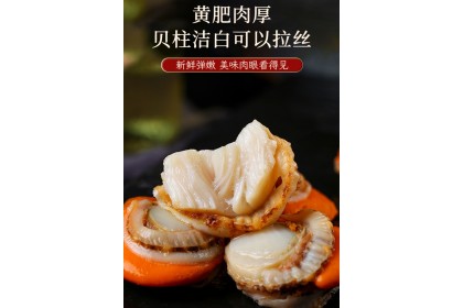 Hotate Scallop Meat 日式带子（扇贝肉）500GM（VIP会员价：RM16.80）