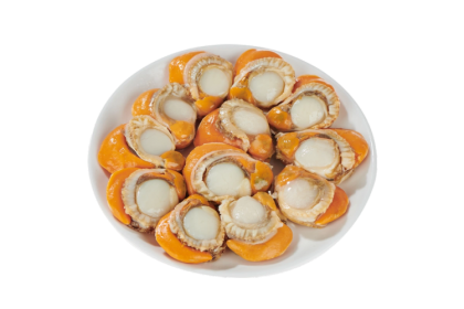 Hotate Scallop Meat 日式带子（扇贝肉）500GM（VIP会员价：RM16.80）