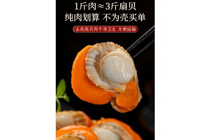 Hotate Scallop Meat 日式带子（扇贝肉）500GM（VIP会员价：RM16.80）
