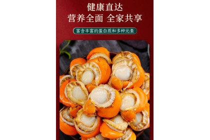 Hotate Scallop Meat 日式带子（扇贝肉）500GM（VIP会员价：RM16.80）