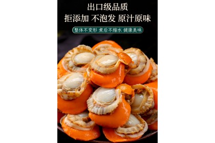 Hotate Scallop Meat 日式带子（扇贝肉）500GM（VIP会员价：RM16.80）
