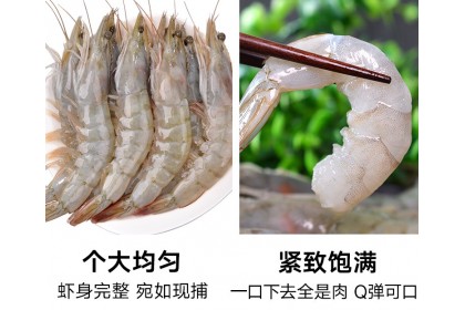 White Prawn 31/40 白虾 700GM（VIP会员价：RM43.50）