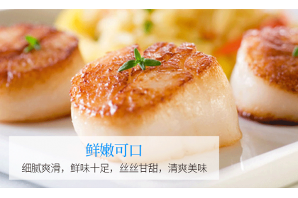 Scallop Meat IQF 白色带子30/40 500GM（VIP会员价：RM31.80）