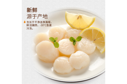 Scallop Meat IQF 白色带子30/40 500GM（VIP会员价：RM31.80）