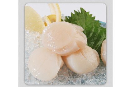 Scallop Meat IQF 白色带子30/40 500GM（VIP会员价：RM31.80）