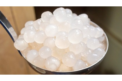 Sago Besar 大碩硪 100GM