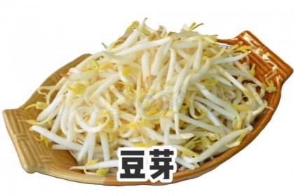 Taugeh 豆芽 1KG