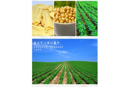 YuanPing Full Bean Curd Stick 愿平金豆腐竹 200GM（VIP会员价：RM10.80）