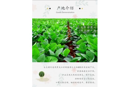 YuanPing Full Bean Curd Stick 愿平金豆腐竹 200GM（VIP会员价：RM10.80）