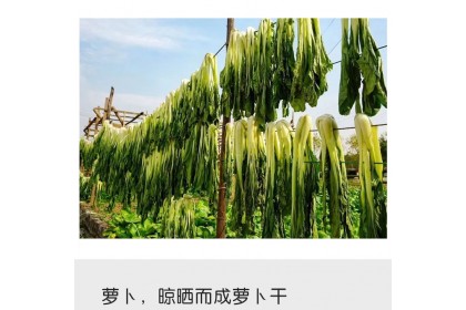 Xiangxi Grandma Veg 湘西 外婆菜 250GM（VIP会员价：RM4.30）