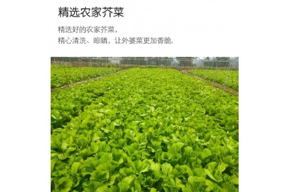 Xiangxi Grandma Veg 湘西 外婆菜 250GM（VIP会员价：RM4.30）