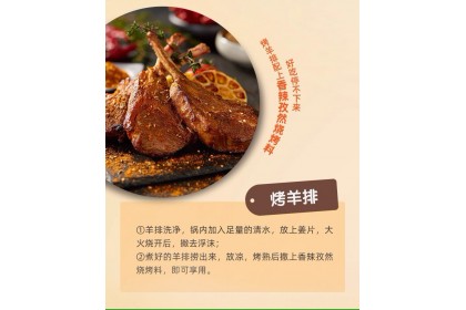 Haidilao Dipping Spicy Cumin Bbq Powder 海底捞香辣孜然烧烤料 40GM（VIP会员价：RM3.50）