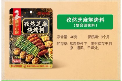 Haidilao Dipping Cumin Sesame Bbq Powder 海底捞孜然芝麻烧烤料 40GM（VIP会员价：RM3.50）