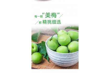 Haday Plum Sauce 海天冰梅酱 260GM（VIP会员价：RM8.50）