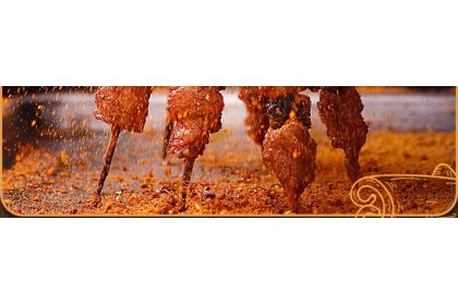 Cuihong Bbq Seasoning 3 in 1 翠宏烧烤调料三合一 259GM（VIP会员价：RM7.90）