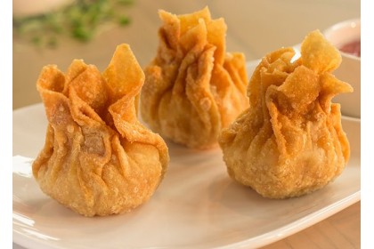 Js Fried Fish Wantan 鱼肉炸云吞 20'S（VIP会员价：RM6.20）