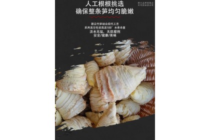 Winter Bamboo Shoot 迎客源冬笋 260gm（VIP会员价：RM4.40）