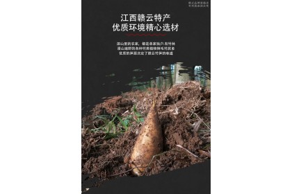 Winter Bamboo Shoot 迎客源冬笋 260gm（VIP会员价：RM4.40）