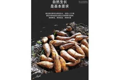 Winter Bamboo Shoot 迎客源冬笋 260gm（VIP会员价：RM4.40）