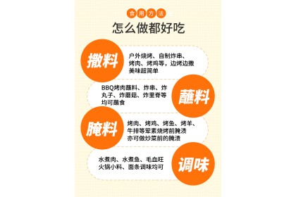 Lechang Grilled Meat Seasoning 乐畅烤肉调味料 30gm（VIP会员价：RM4.40）
