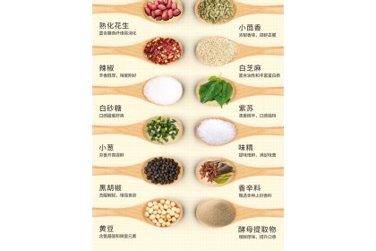 Lechang Grilled Meat Seasoning 乐畅烤肉调味料 30gm（VIP会员价：RM4.40）
