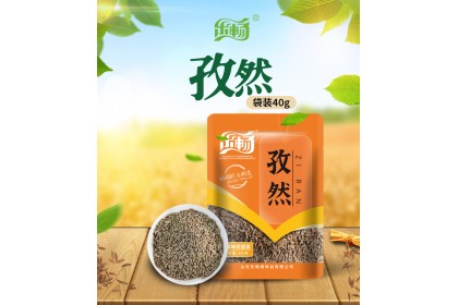 Lechang Cumin 乐畅孜然 40gm（VIP会员价：RM8.00）