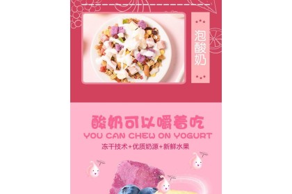 Yogurt Fruit Granola 美粥食客酸奶烘培坚果燕麦片 100gm（VIP会员价：RM2.60）