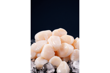 Scallop Hokkaido 11/15 北海道鲜带子 500gm（VIP会员价：RM39.80）