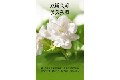 Nayuki Jasmine Tea 奈雪茶饮料茉莉初雪 500ml（VIP会员价：RM4.40）