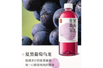 Grape Oolong 果子熟了 茶饮料 夏黑葡萄x乌龙茶 487ml（VIP会员价：RM3.50）