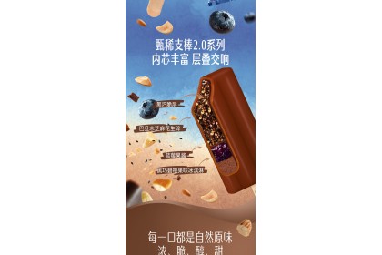 Ice Cream - Yili Blueberry Cheese Dark Chocolate 甄稀蓝莓芝芝黑巧味 70gm（VIP会员价：RM4.00）