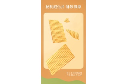 Ice Cream - Matcha Wafer 索菲亚威化抹茶 65gm（VIP会员价：RM7.20）