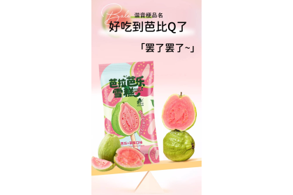 Ice Cream - Guava 普拉拉芭拉芭乐雪糕 70GM（VIP会员价：RM10.30）
