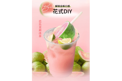 Ice Cream - Guava 普拉拉芭拉芭乐雪糕 70GM（VIP会员价：RM10.30）